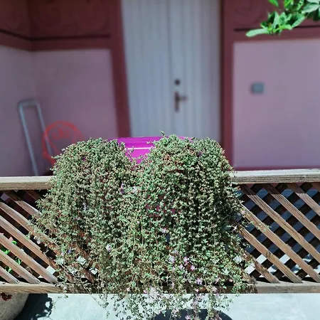 Apartment Maison Belle Epoque & *